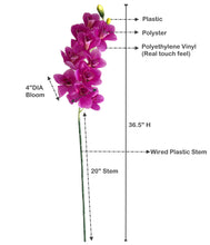 Load image into Gallery viewer, Diagram illustrating the size of a large artificial Cymbidium orchid, known for its realistic appearance and vibrant colors.