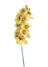 Load image into Gallery viewer, Realistic real touch yellow orchid on a stem, set against a white background, perfect for elegant centerpieces.