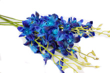 Load image into Gallery viewer, Blue faux orchid flowers on a white surface, with bendable stems and 7 lifelike real touch blooms per stem.
