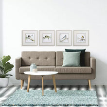 Load image into Gallery viewer, Set of four vibrant bird prints in double matting, glass frame, white wash wood tone frame. Available individually or as a set.
